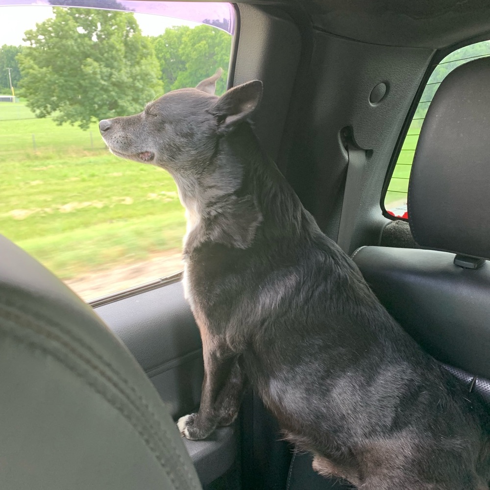 Guess what?!?! We are live live!!! - Picture 11 of 16